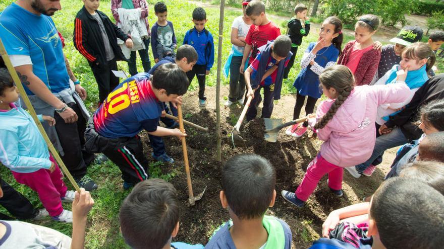 Cada any, uns sis cents infants participen a la Festa