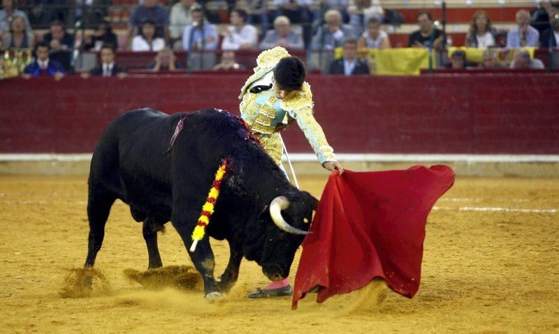 Novillada en la plaza de Toros