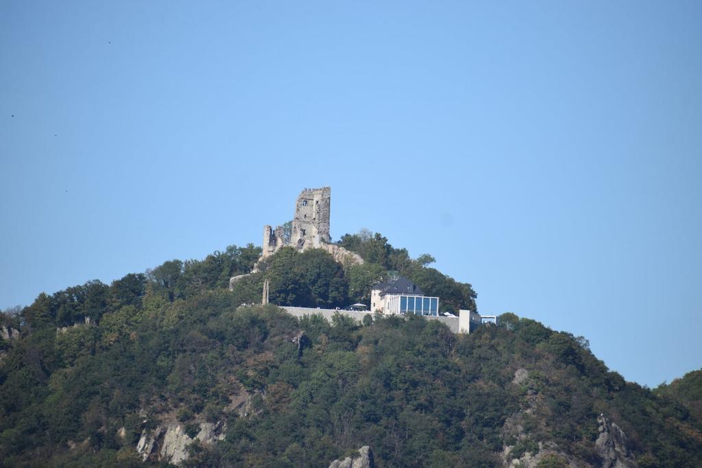 Drachenfels with the castle - Rin Romántico