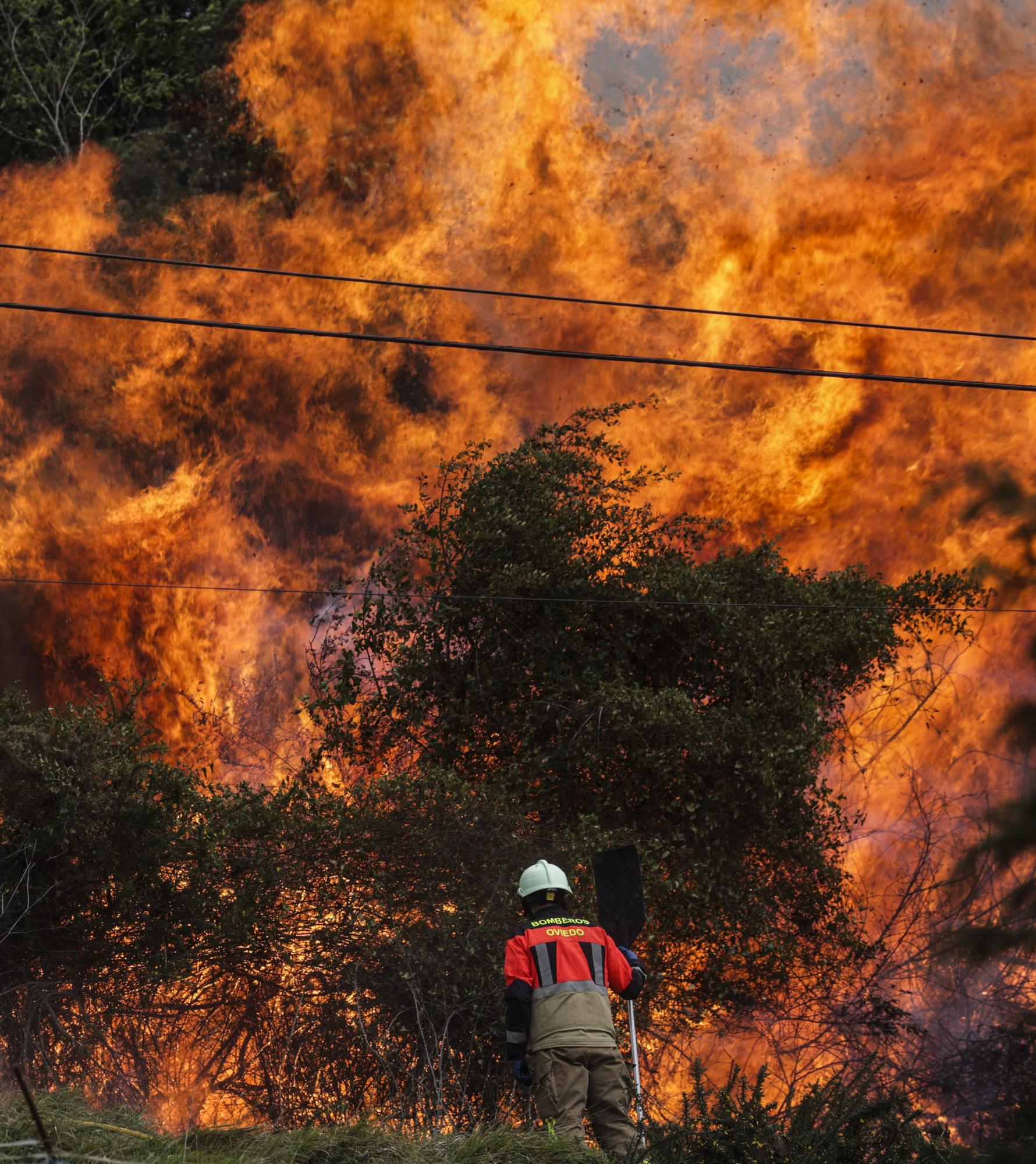 La lucha contra las llamas en el monte Naranco