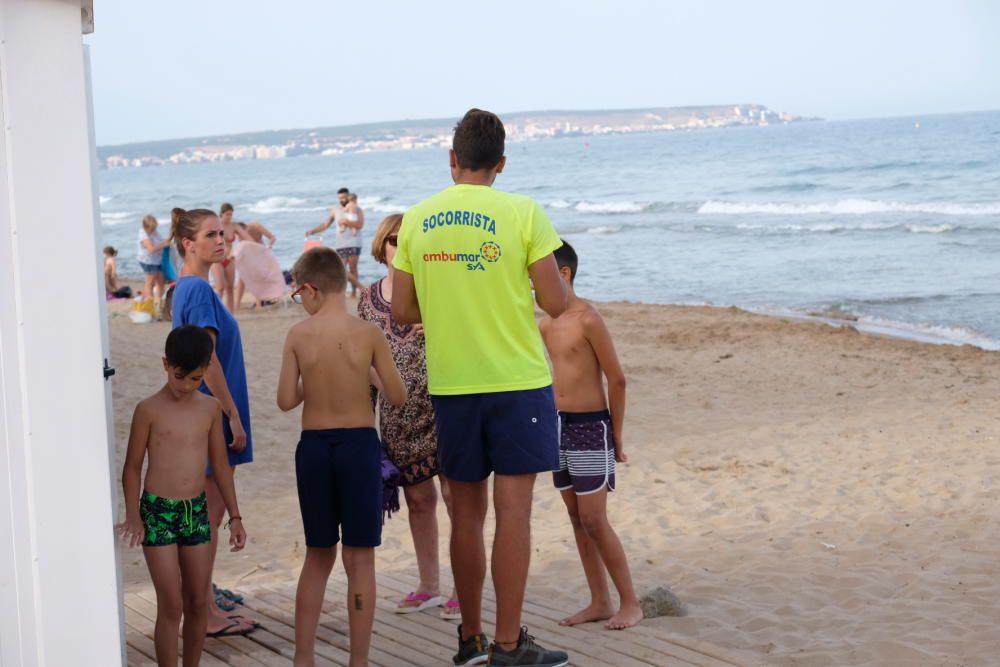 Así está la playa del Pinet de Elche tras morder u