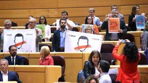 Els senadors d’ERC i PDeCAT denuncien al Senat la falta de democràcia a Espanya.