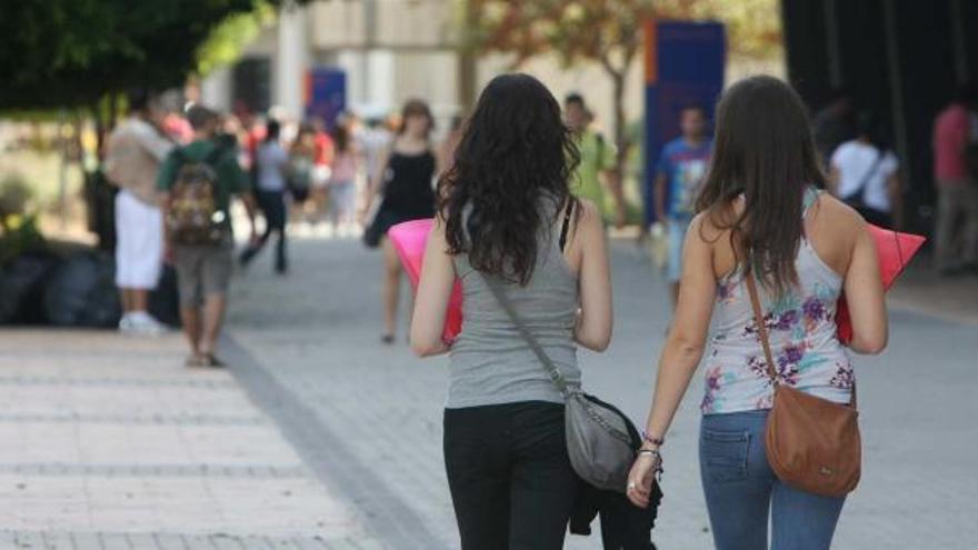 Estudiantes en el campus de la Universidad de Alicante en San Vicente del Raspeig, a principios de este curso.