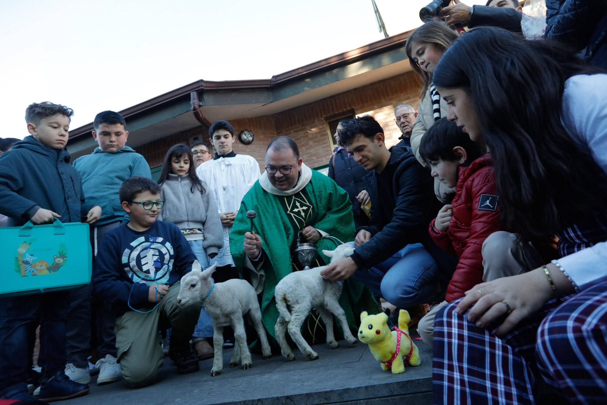 En imágenes: Así fue la bendición de animales por San Antonio en Avilés