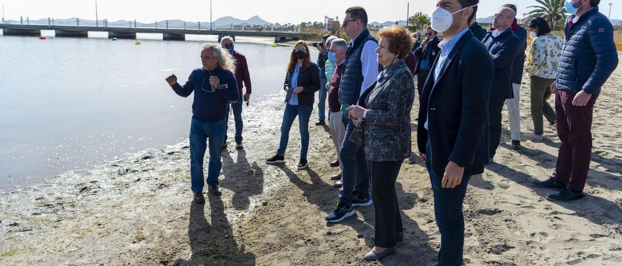 Miembros de la Comisión de Peticiones y eurodiputados, durante su visita al Mar Menor.  | IVÁN URQUÍZAR