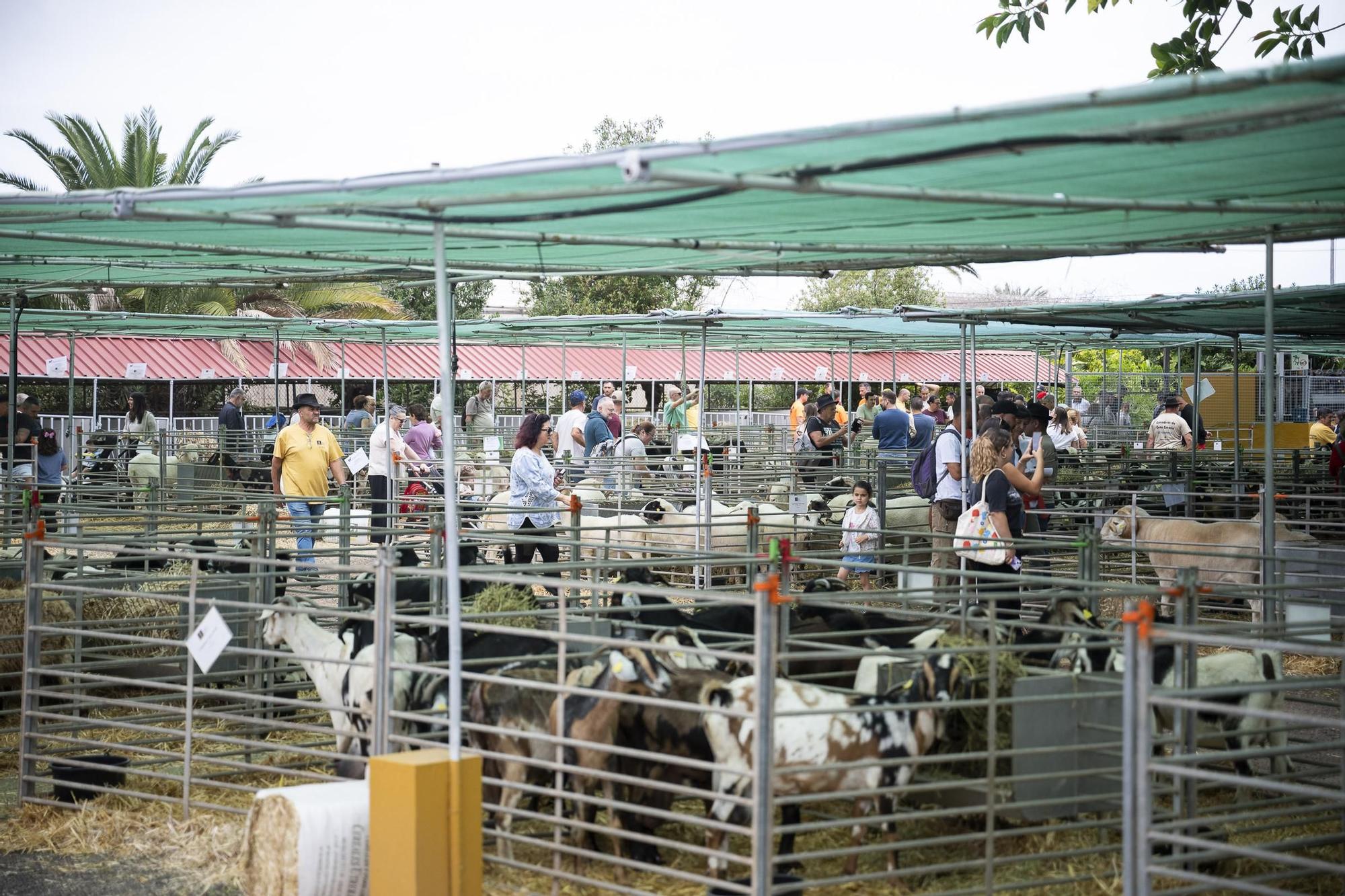 XXXII Edición del Concurso y Exposición de Ganado Selecto