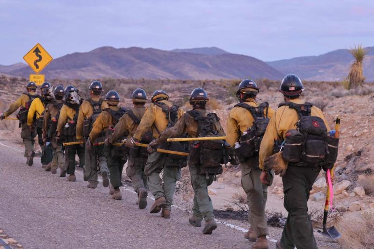 Arde la Reserva Nacional de Mojave entre California a Nevada