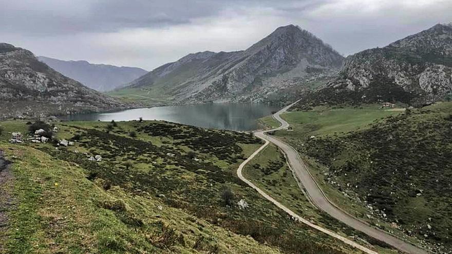 “El Principado ha optado por el ‘no’ al diálogo en el plan de acceso a los Lagos”, lamentan los empresarios