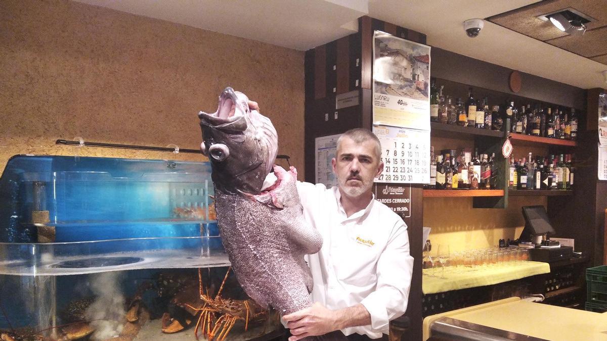 La sidrería gijonesa Casa Ataulfo se hace con un mero gigante de 20 kilos: "Nos dará para 35 raciones"