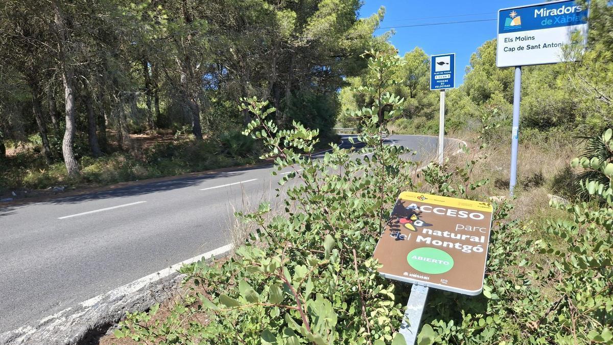 La nueva señal del Montgó, derribada; los operarios municipales ya la han enderezado
