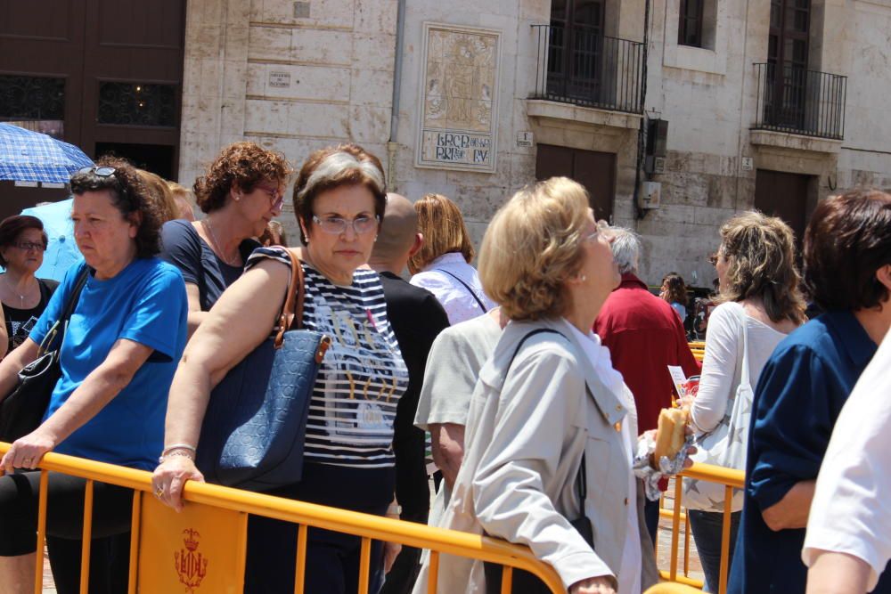 Besamanos a la Virgen de los Desamparados