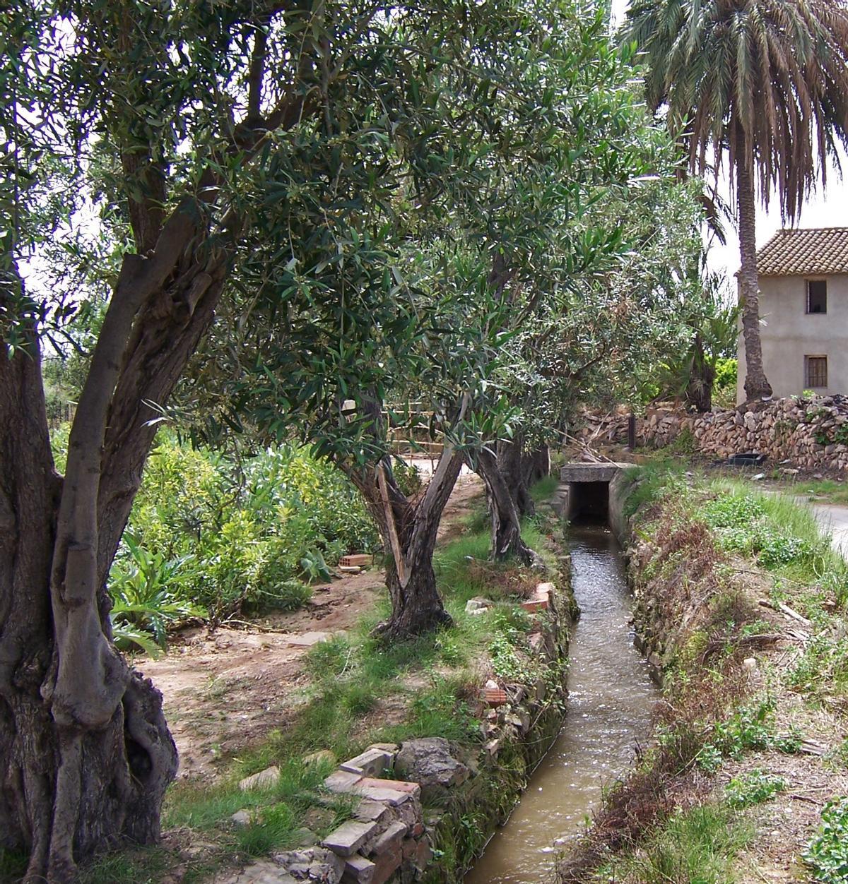 Séquia de Faitanar, en l'Alqueria Blanca. València.