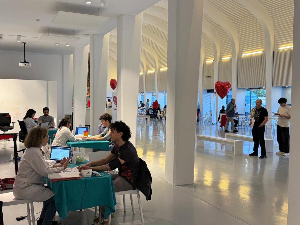 Un instante de la donación de sangre celebrada este martes en Alicante