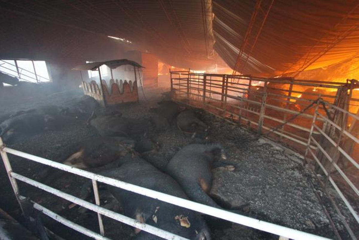 Un fuego obliga a desalojar Villardiegua y acaba con el 90% de la producción agropecuaria