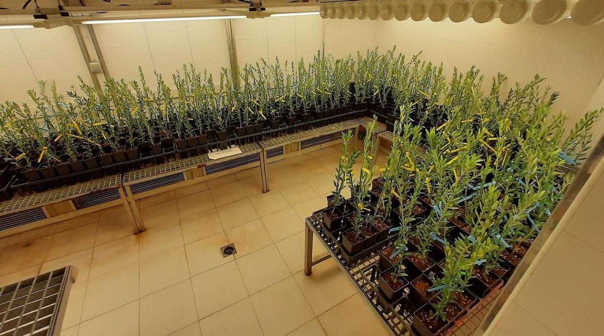 Imagen durante el transcurso de la investigación.