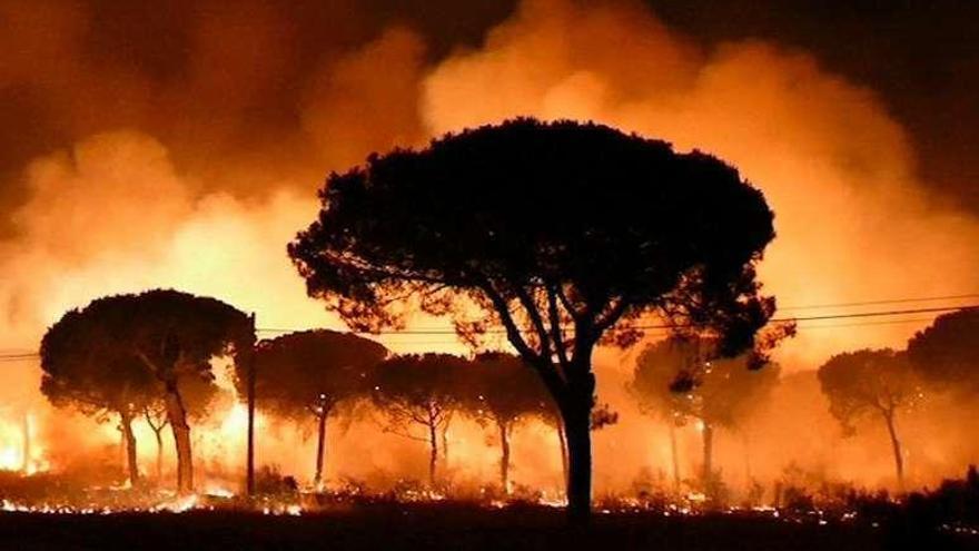 El fuego devora el entorno del municipio de Moguer, en Huelva.