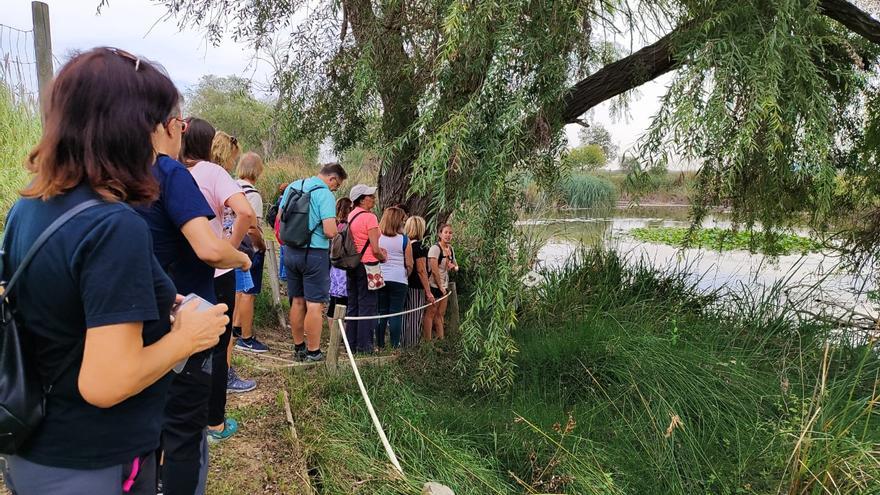 Las rutas naturales logran una gran afluencia en la Ribera