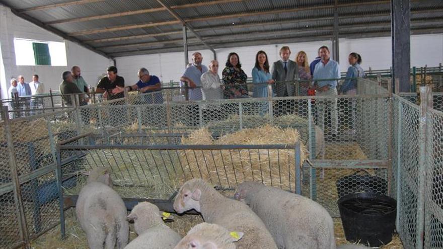 La economía del Guadiato, en Feria Agroganadera de Fuente Obejuna