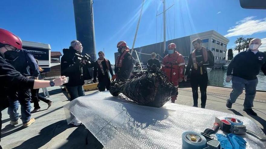 Complicado rescate de un ánfora del siglo II en la bahía de Santa Pola