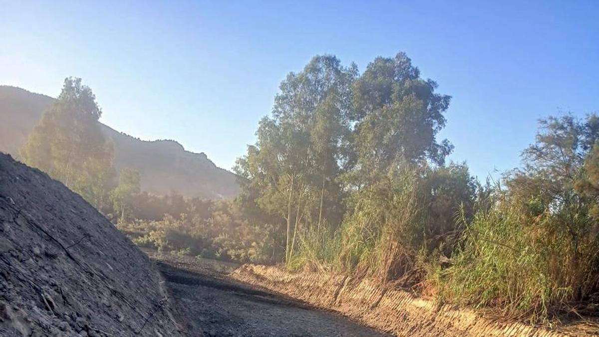 Las actuaciones para acondicionamiento de caminos y cauces suman una inversión total de 1.294.818 euros.
