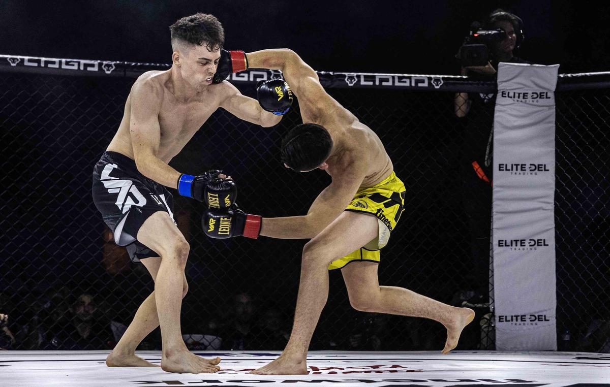 El espectáculo WAR MMA desata la locura en Plaza de Toros de Alicante El espectáculo WAR MMA desata la locura en Plaza de Toros de Alicante