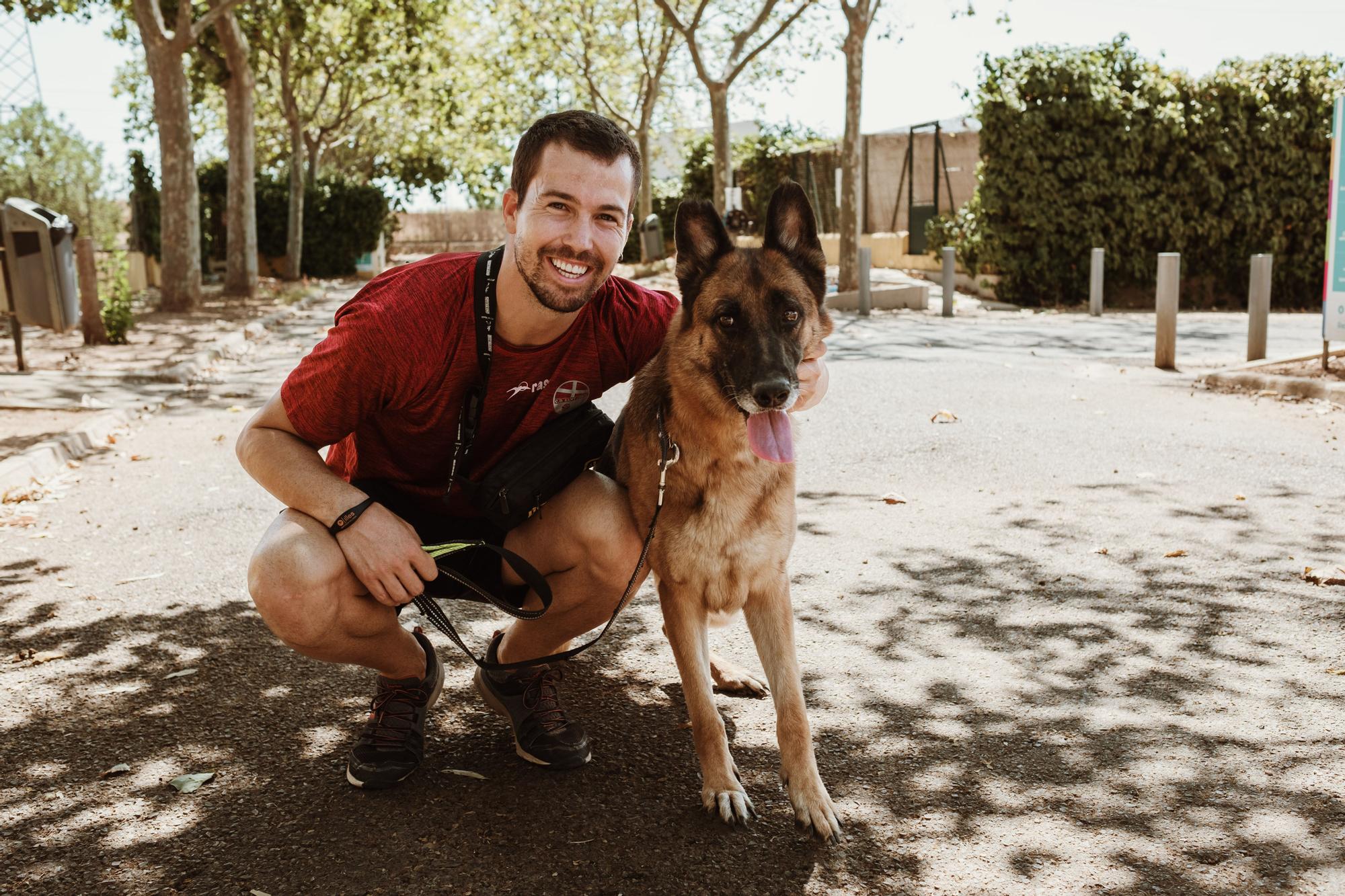 Abandono de perros y gatos en Mallorca: faltan voluntarios en Son Reus