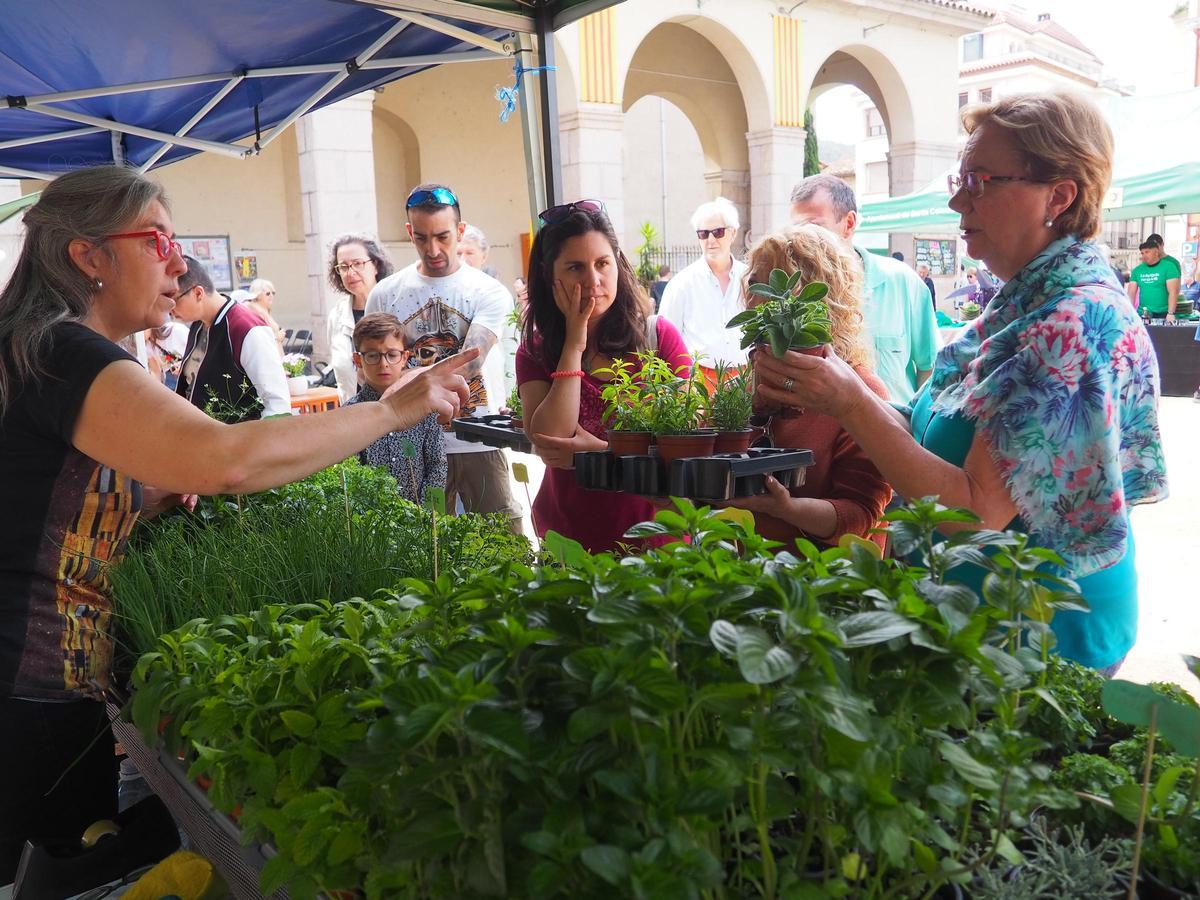 El Mercat de les Herbes de Ratafia de Santa Coloma, en una edició passada.