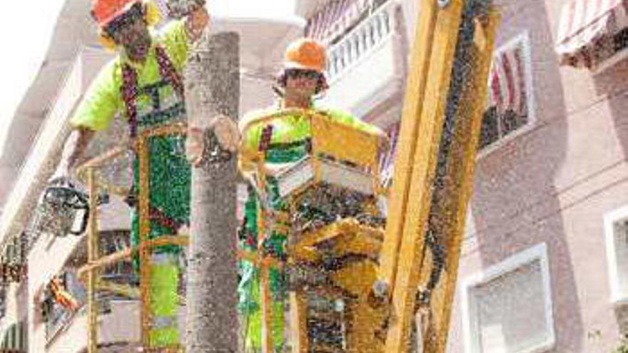 Trabajos de poda ayer en la calle Ramón Gallud y aspecto final que presentan los árboles.