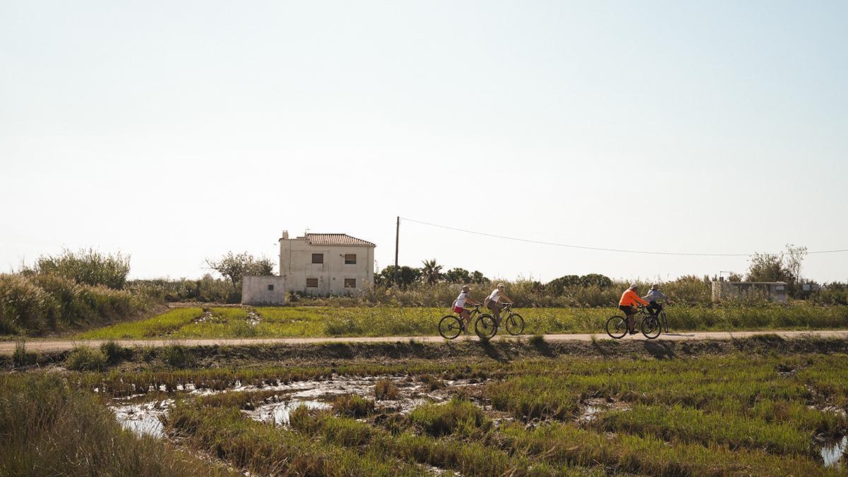 El otoño permite recorrer en bicicleta los caminos que atraviesan los arrozales del Delta de l’Ebre con temperaturas más suaves.