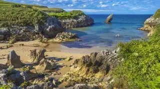 Las 10 mejores playas para disfrutar de un día de verano con tu perro