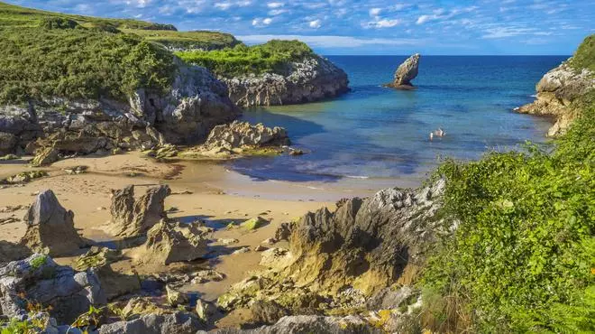 Las 10 mejores playas para disfrutar de un día de verano con tu perro