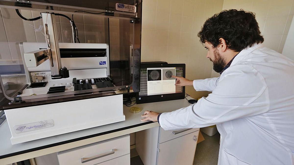 Laboratorio de Microbiología Clínica del hospital General de Elche. | ANTONIO AMORÓS