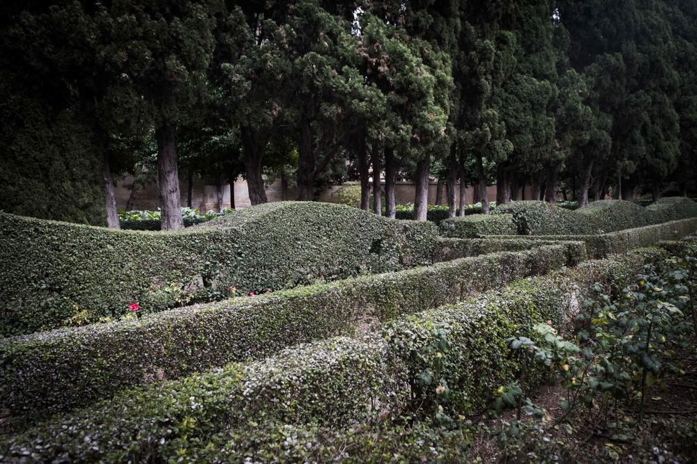 Jardín de Monforte en València