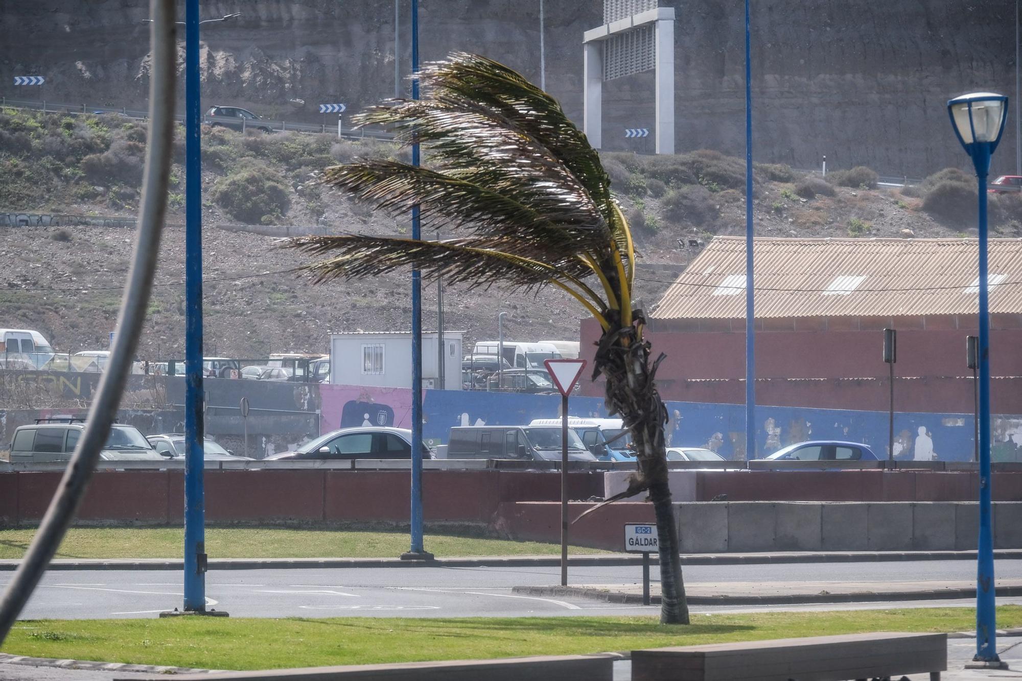 La borrasca Celia deja un temporal de viento y mar en Gran Canaria (14/02/2022)