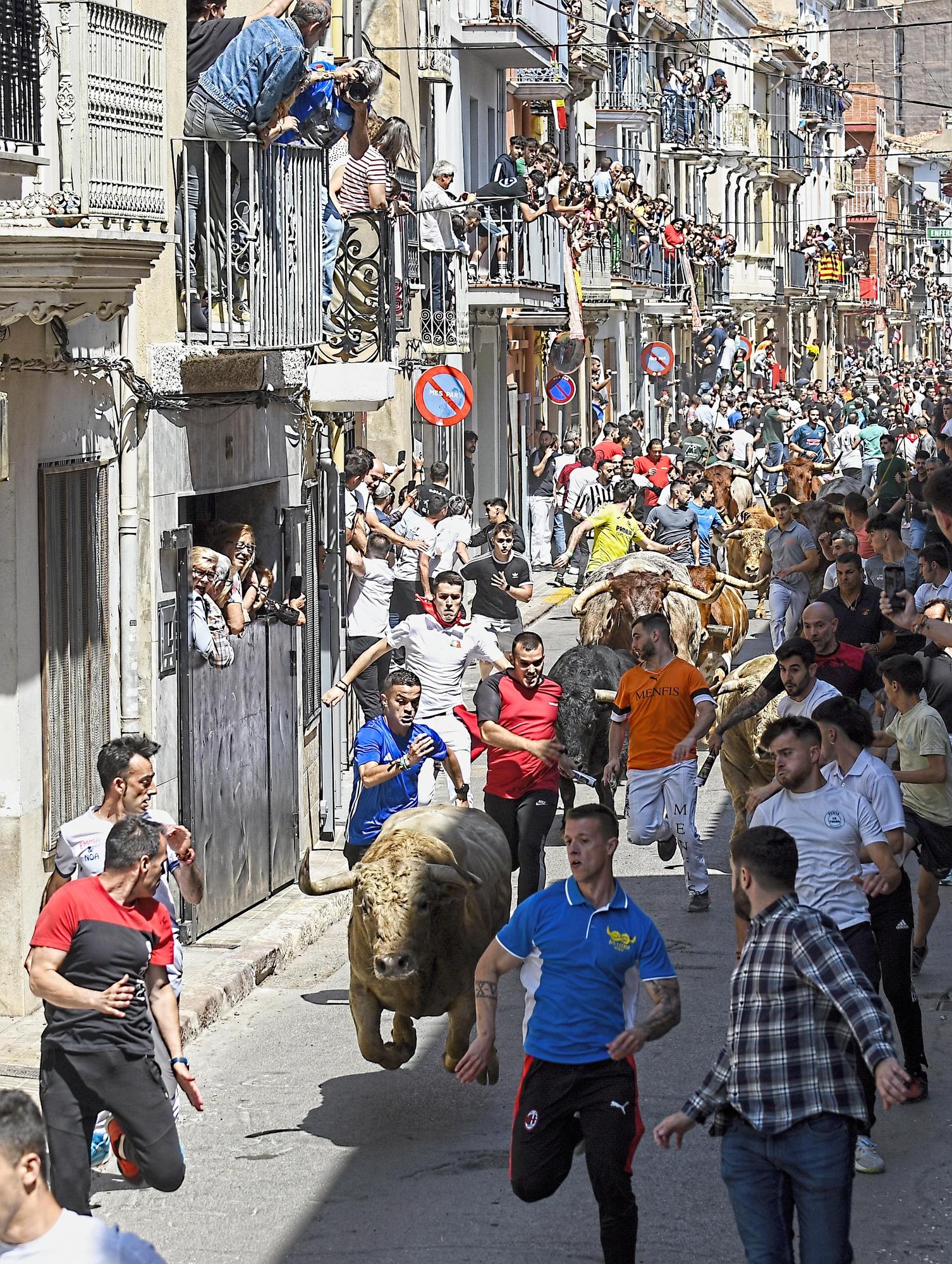 MACROGALERÍA DE FOTOS: Búscate en el encierro y los primeros 'bous' de las fiestas de Almassora