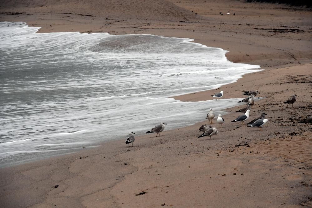 La alerta naranja continúa en el mar. El acceso a las playas y a la torre de Hércules permanece restringido.