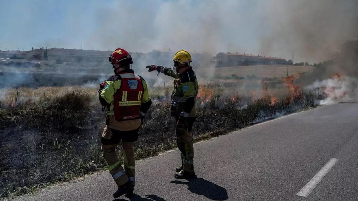 Bomberos intervienen en un incendio junto al Polígono Ganadero en la franja periurbana de Cáceres, en mayo.