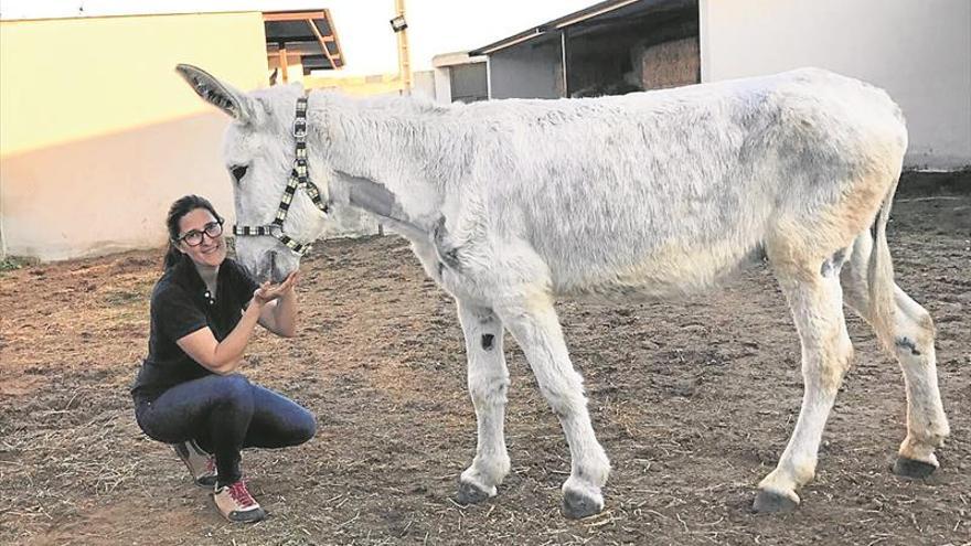 «Estoy segura de que se curará a pesar de sus graves problemas»