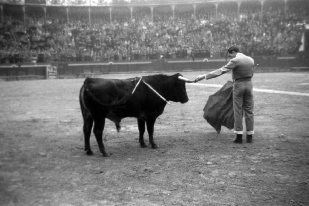 El torero en un festival en el coso de Los Tejares El torero en un festival en el coso de Los Tejares