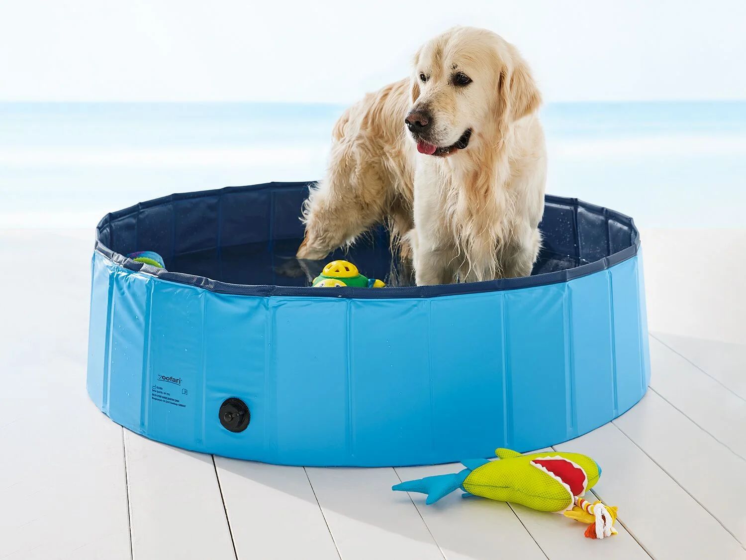 La piscina para perros de Lidl.