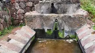 Agricultores de Roque Negro ponen el grito en el cielo: "Nos han cerrado el agua de la galería"