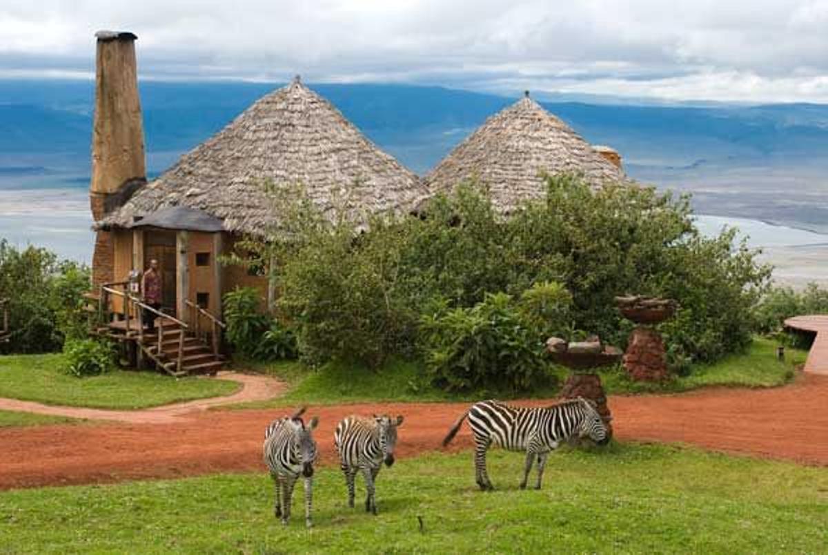 Ngorongoro