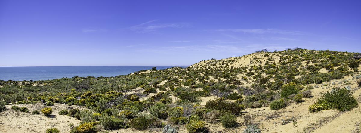 Parque Nacional Donana, Playa de Cuesta Maneli,
