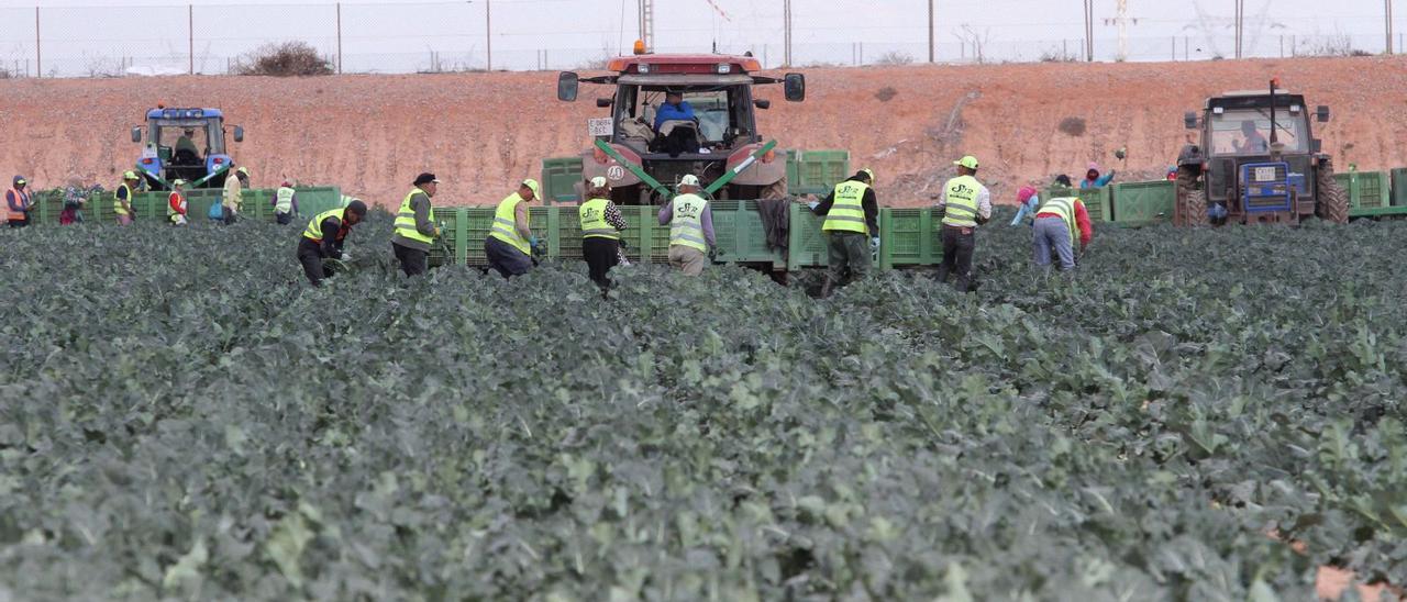 La reforma laboral multiplica por cuatro los contratos fijos discontinuos