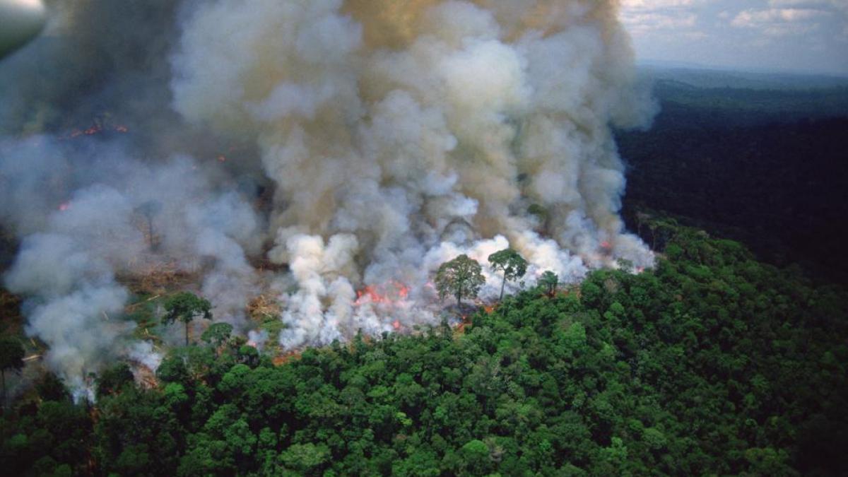 In addition, it causes a number of fires in the Amazon