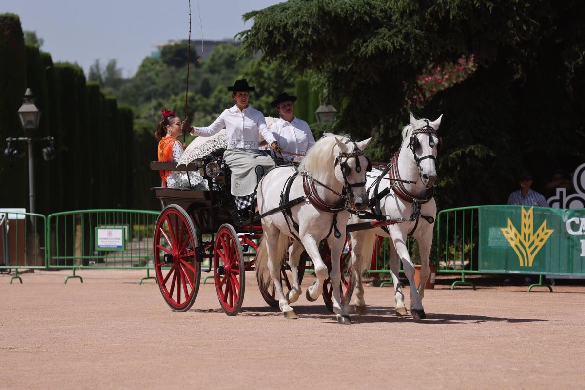 El arte ecuestre toma los Jardines del Alcázar de los Reyes Cristianos para dar el pistoletazo de salida a la Feria de Nuestra Señora de la Salud