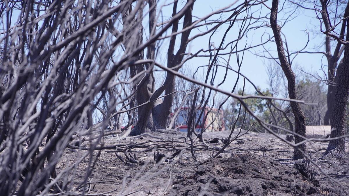 Tensión de los vecinos de Rábano de Aliste ante la pesadilla del incendio: "Lo teníamos a las puertas"