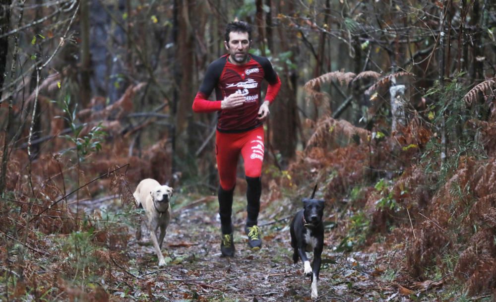 En los últimos años, el gran atleta se ha volcado en el canicross, donde corredor y perro han de competir como uno solo. // FdV