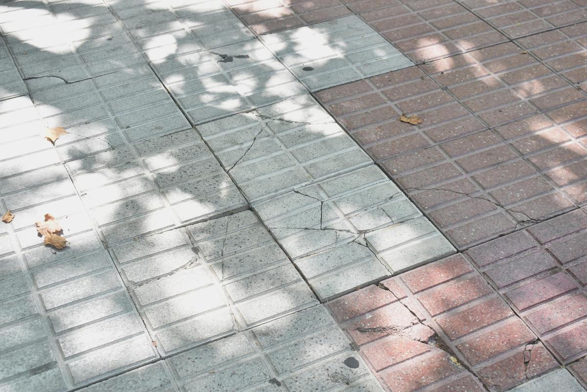 Galería | Los desperfectos del paseo de Cánovas de Cáceres