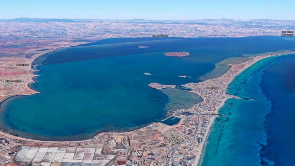 Una sentencia obliga a arrancar cinco hectáreas de cítricos en el Mar Menor